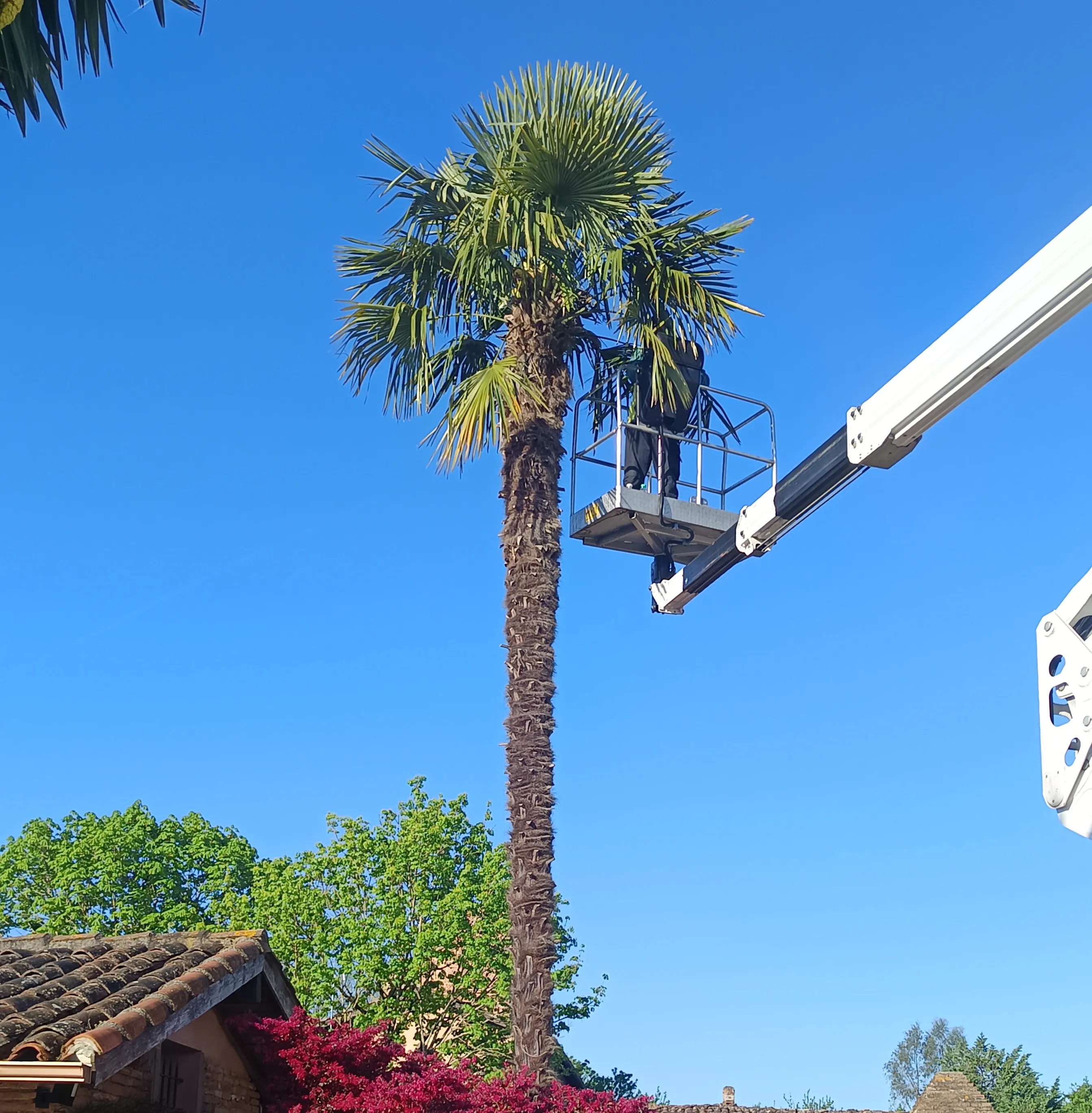 Traitement zéro phito